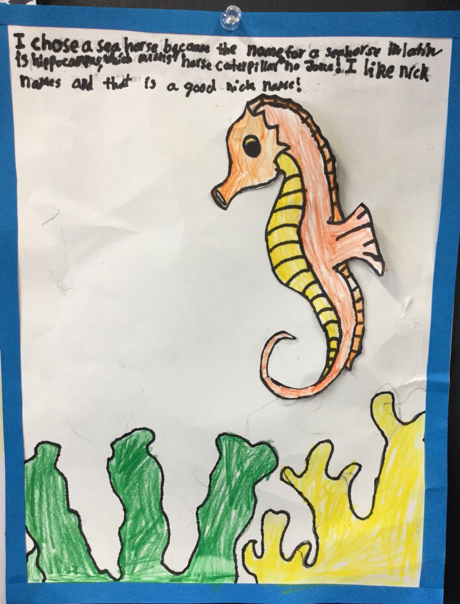 5MASIJ's tweet image. Metaphors and comparisons help us frame our sea life reflections! #student-led conferences