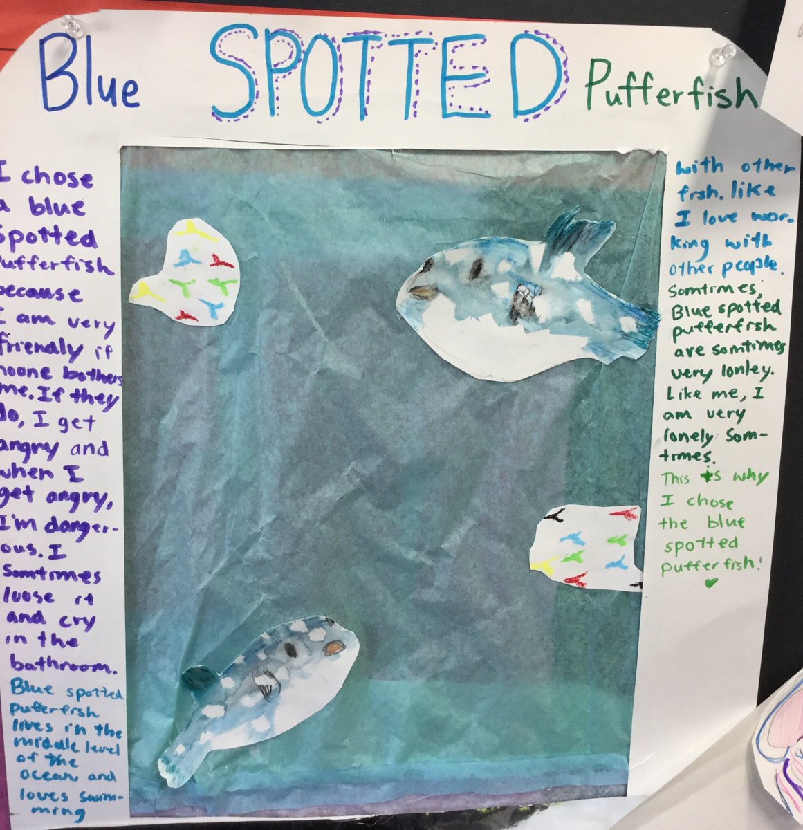 5MASIJ's tweet image. Metaphors and comparisons help us frame our sea life reflections! #student-led conferences