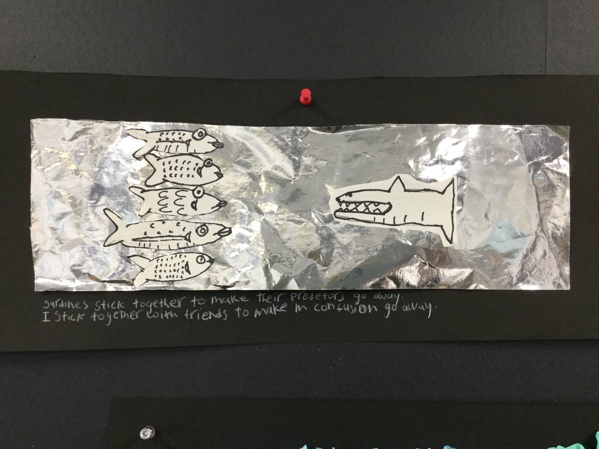 5MASIJ's tweet image. Metaphors and comparisons help us frame our sea life reflections! #student-led conferences