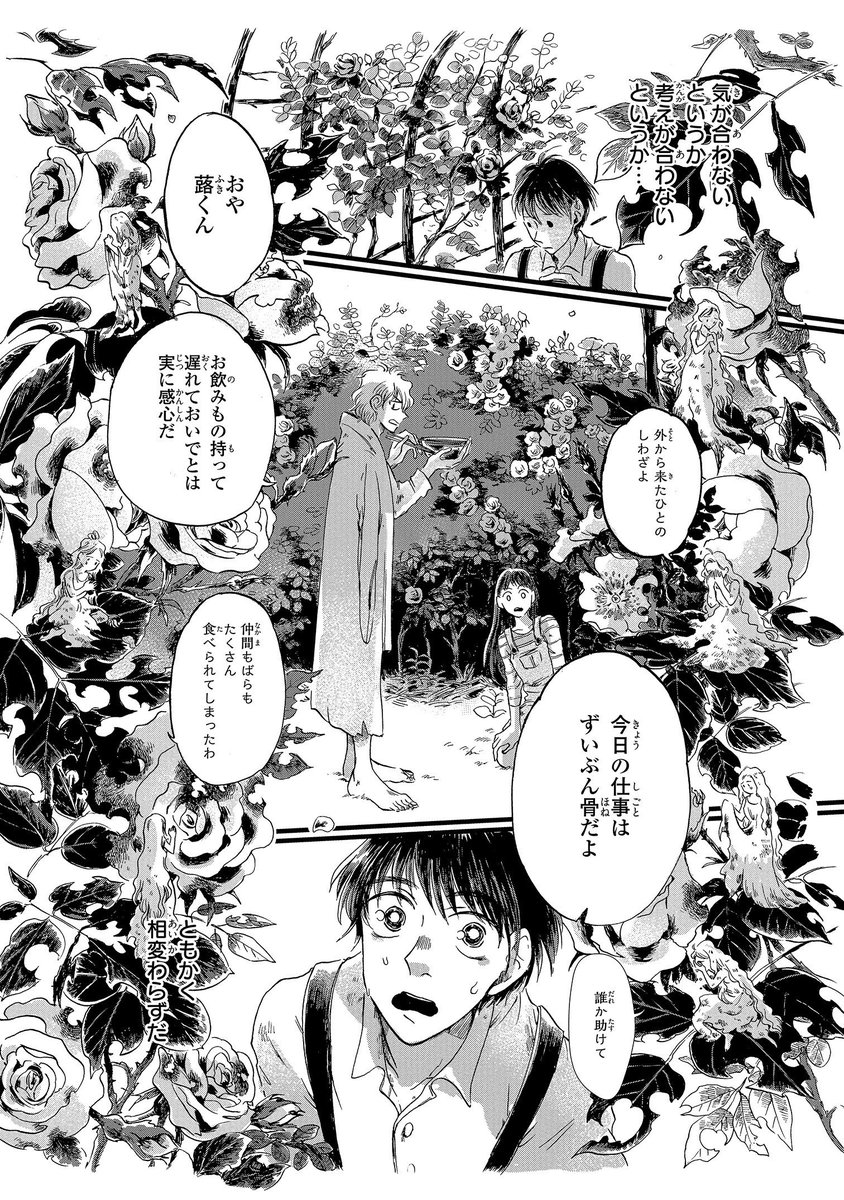 「草かんむりと嘘つきの庭」第3話 「ばらの訪問者」 本日3/2更新です💐
https://t.co/lVHQjFfEAa
古代より数多の国を渡ってきた薔薇
異人さんのキャベツに、よそ者の蕗
そして奇妙な旅人たち
初夏の庭に集まったお客さんがたの 悲喜こもごもです