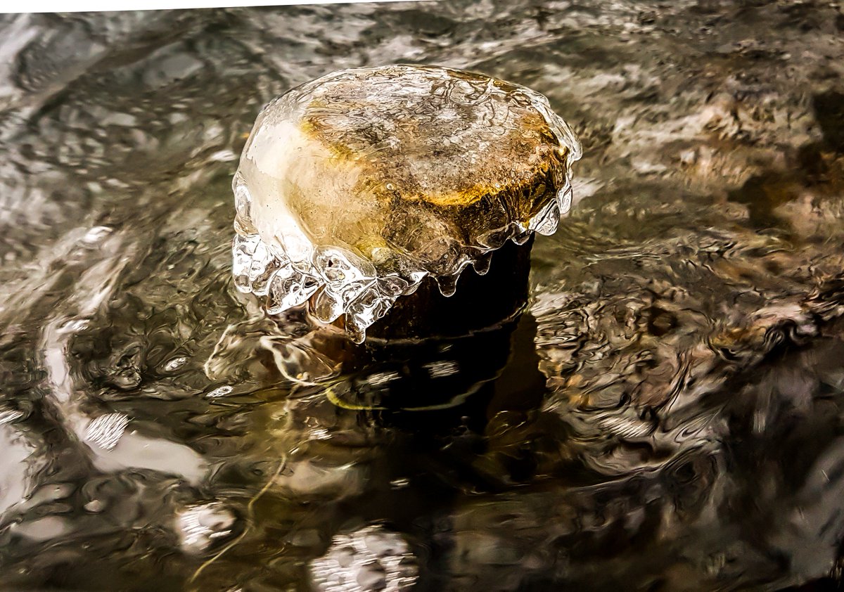 johngriffith tweet media