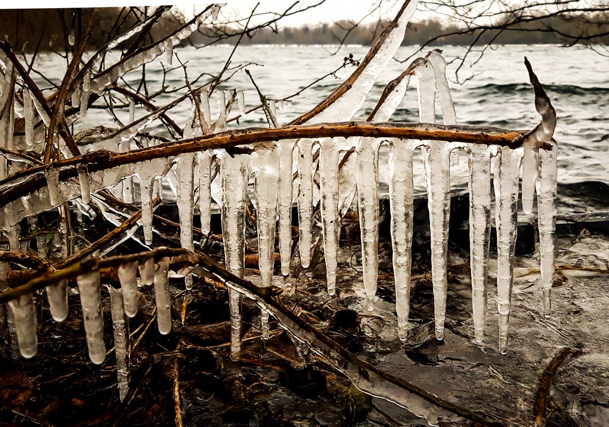Interesting things happening with cold wind &amp; water at #rickmansworth #aquadrome #wd3 #samsung #lightroom #photographysouls #photography #photooftheday #ice #shape <a href="/Observer_Owl/">Watford Observer</a>