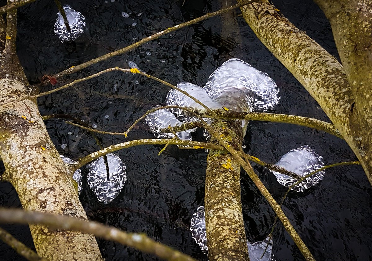 johngriffith tweet media