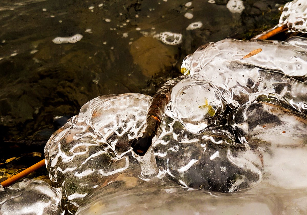 johngriffith tweet media