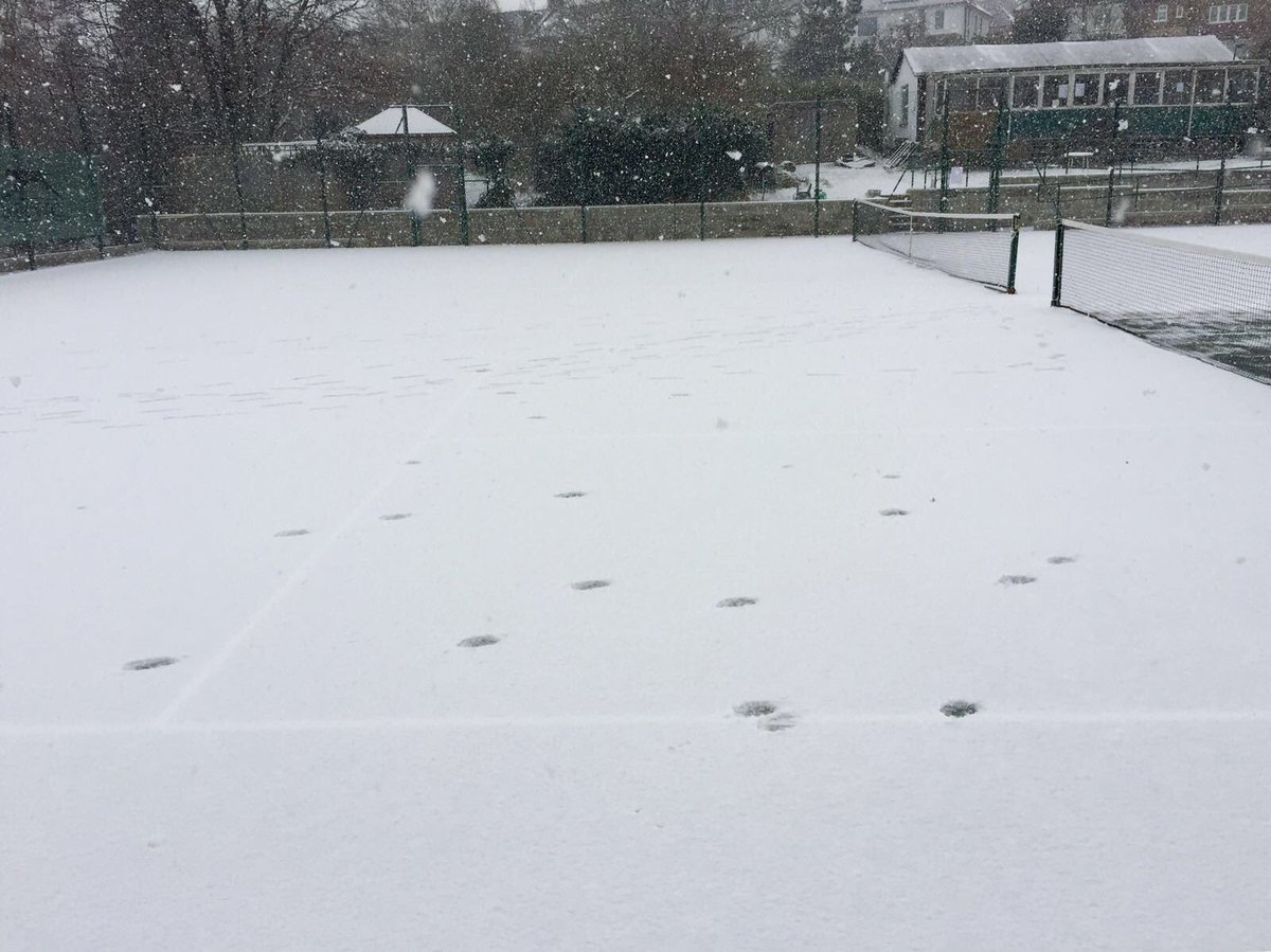 Anyone for tennis 🎾?? Hmm I think not although the ball marks indicate someone has tried !!!  #hurryupspringtime #snowtennis