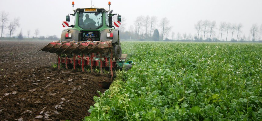 LGseedsNL's tweet photo. Chitwoodi neemt toe, voorkom problemen: https://t.co/rFzpR4jTWf #akker #groenbemesting #aaltjes https://t.co/AaBDcZuzao