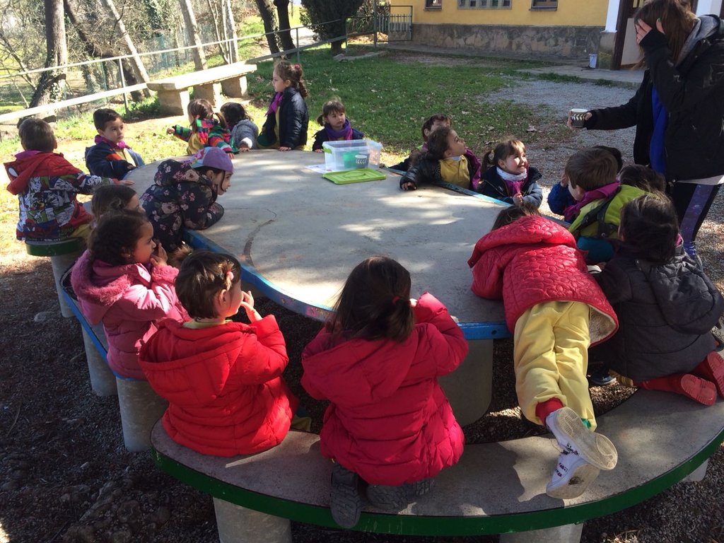 Claret_Elena's tweet image. #P3 del @claretbarcelona continuem el nostre #TreballperProjectes sobre els #sentits. Avui investigant i descobrint a la casa de colònies Mogent. #Elboscdelssentits. #jocs #gimcana #hort #elssons #bossetes d'olor.