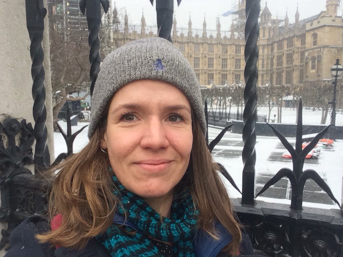 CoG3_tweets's tweet photo. Presenting our #cobalt research at the @APPG_IM and @sosminerals policy workshop at Westminster https://t.co/iBnvg6sunE