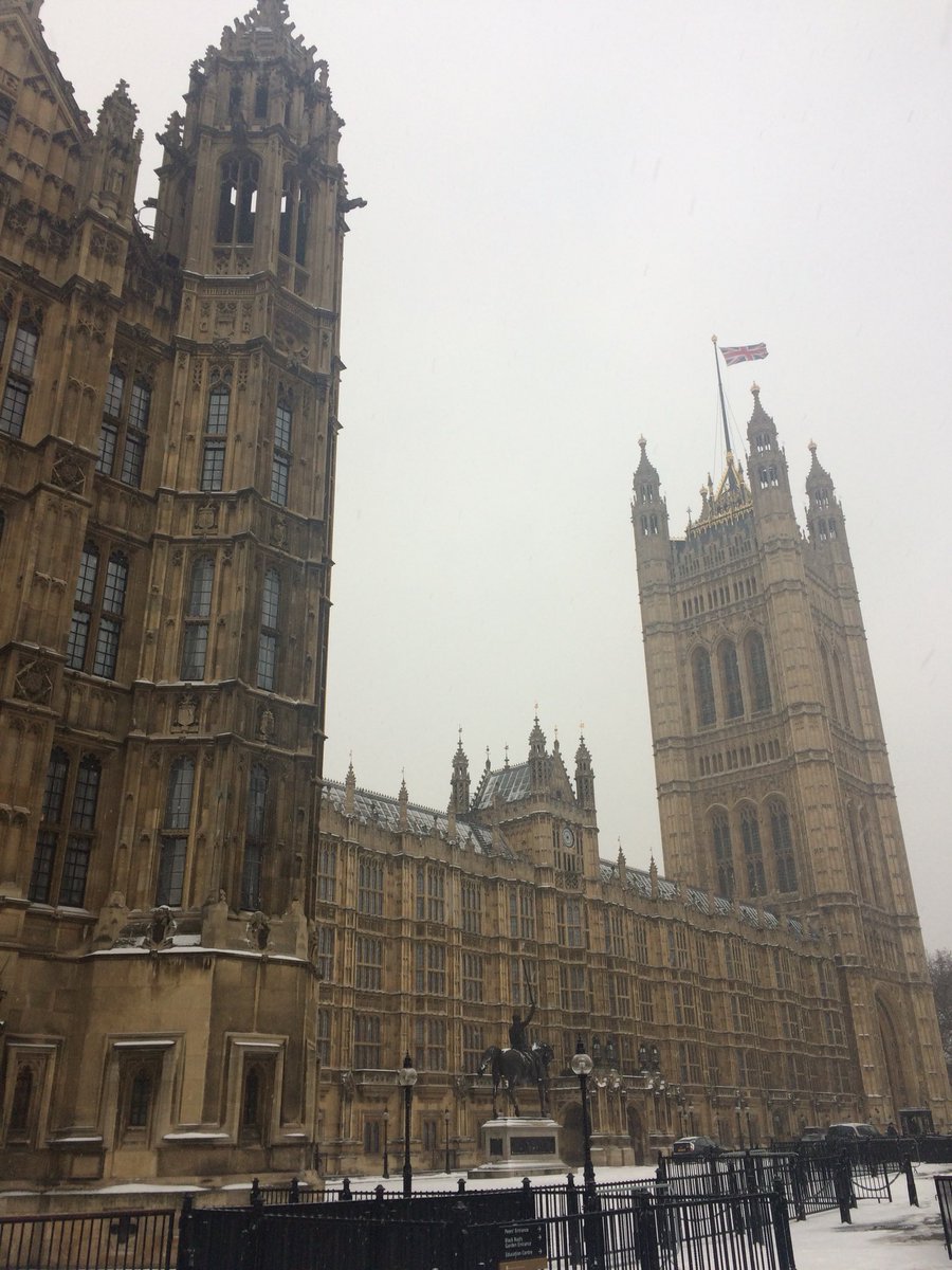 CoG3_tweets's tweet photo. Presenting our #cobalt research at the @APPG_IM and @sosminerals policy workshop at Westminster https://t.co/iBnvg6sunE