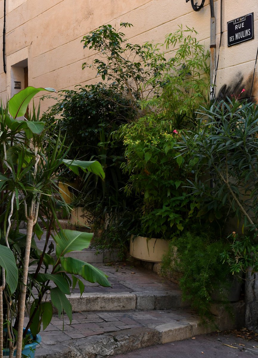 marseille's tweet photo. Introduire davantage la nature en ville, améliorer le cadre des parcours urbains, ajouter de la convivialité en centre-ville sont les objectifs de la charte de végétalisation des rues. 🌻
Plus d'infos 👉 https://t.co/hKX75s1cwN
Réinventons le centre ville #AmbitionCentreVille https://t.co/jqma84zc0P