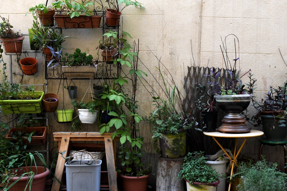marseille's tweet photo. Introduire davantage la nature en ville, améliorer le cadre des parcours urbains, ajouter de la convivialité en centre-ville sont les objectifs de la charte de végétalisation des rues. 🌻
Plus d'infos 👉 https://t.co/hKX75s1cwN
Réinventons le centre ville #AmbitionCentreVille https://t.co/jqma84zc0P