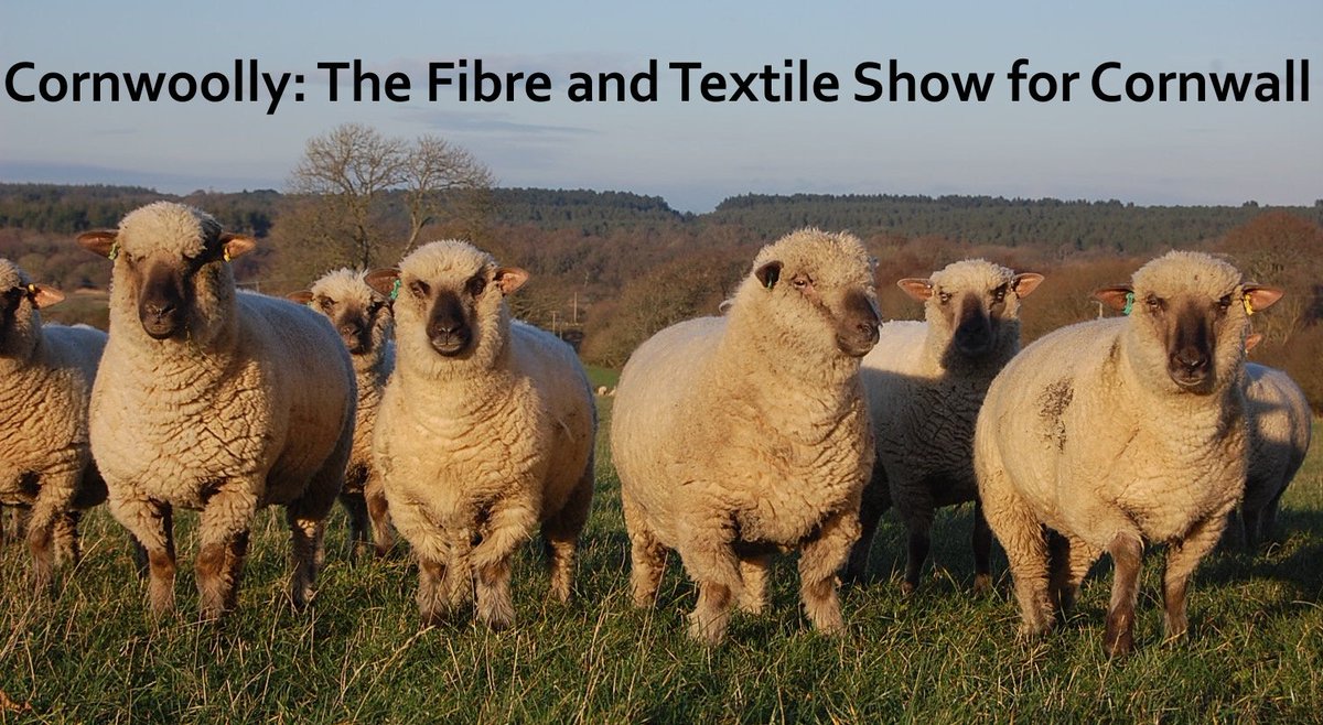 cornwoolly's tweet photo. Do you know your sheep breeds?  I used this photo as it's mine, so no copyright issues, but can anyone say why it's not quite right? #cornwall #sheepbreeds #britishwool #wool #Spinning  #felting #crafts #heartlandscornwall #homegrown #handmade #swisbest https://t.co/reKxiSurOs