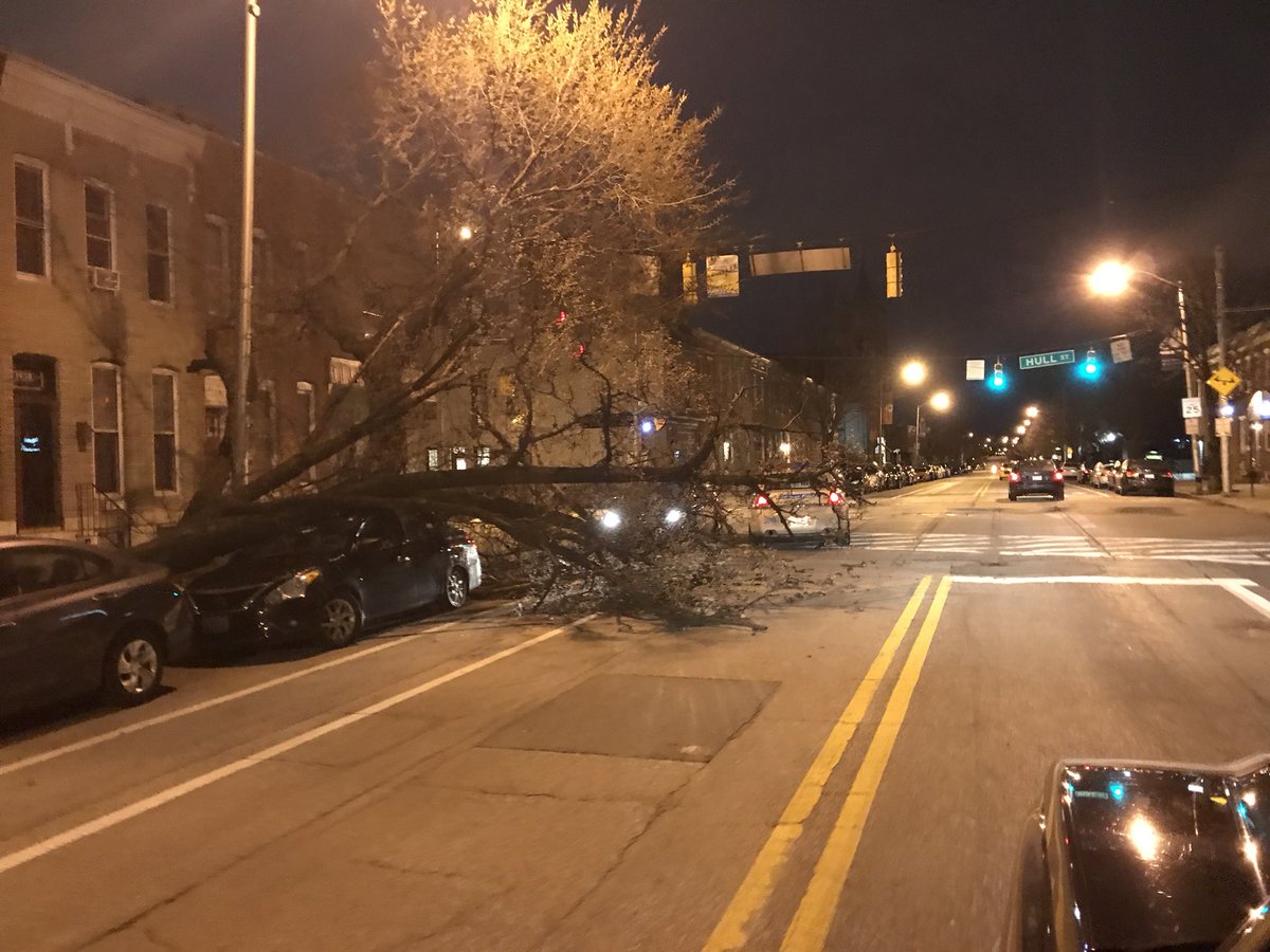 Winds are mighty strong this morning. Here’s a tree that fell over onto a car in the 1400 block of E Fort Av, near Hull St. #LoPo <a href="/LocustPointMD/">Locust Point MD</a>