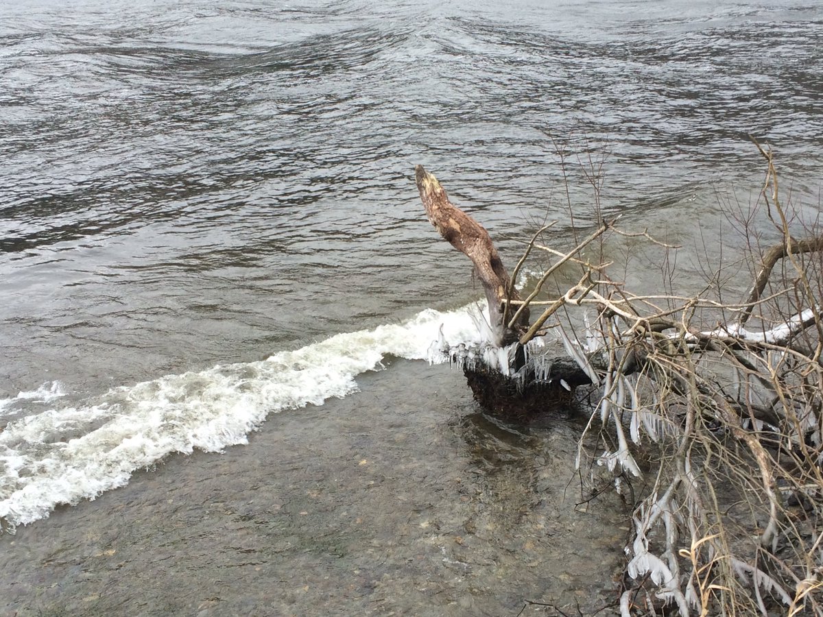 C_Dearden's tweet image. Some modest drifts, but the fields are green even round Llyn Cwellyn in Snowdonia, but some quite impressive breakers on the lake itself. #snowwales