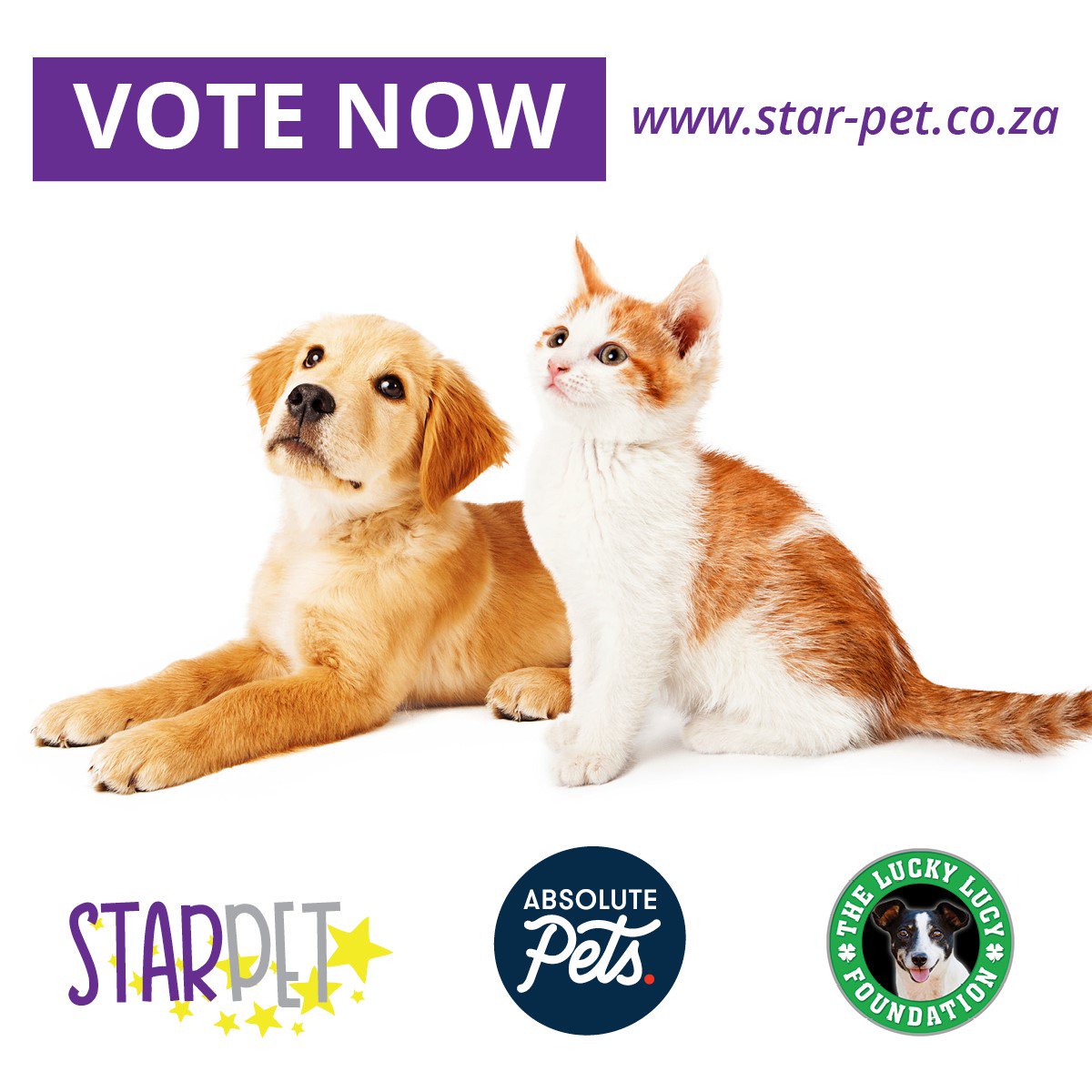 Absolute Pets tweet media