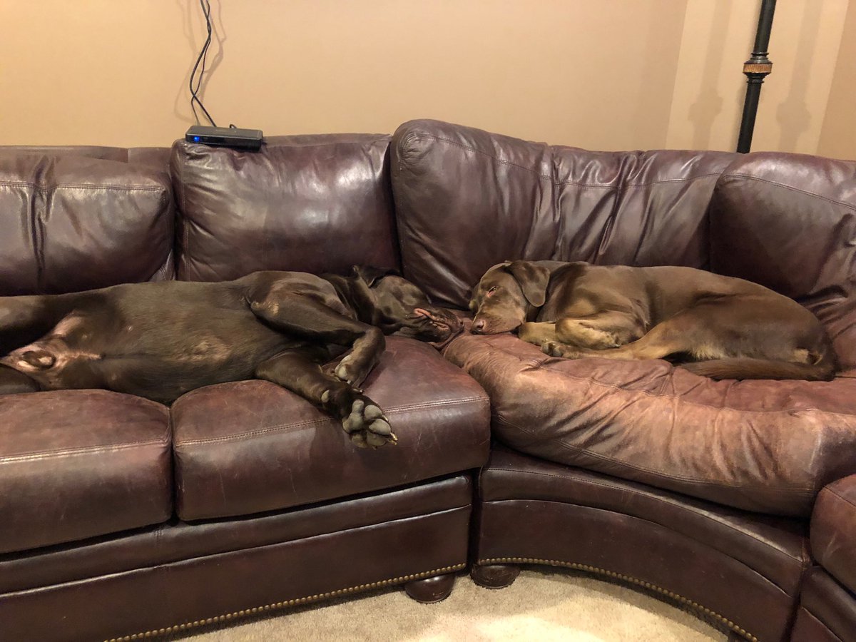 sshellen01's tweet image. Bryn I know it is not the IL shoot but might be better.