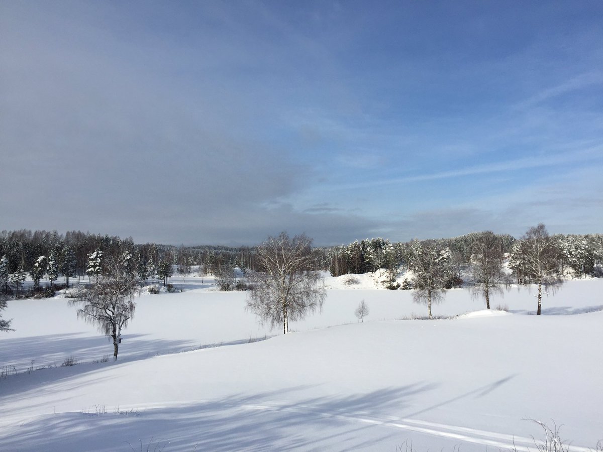 Solveig91_'s tweet photo. @AnastaciaMusic I know you love the snow.. come to Norway, we have plenty of it now😅 and it's COLD!❄️ https://t.co/4VOo0uW5m0