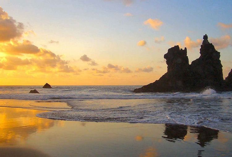 Escapa del frío y de las borrascas con una escapada a la Isla de #Tenerife y disfruta de sus increíbles #playas y su temperatura tropical 

escapadasyviajes.es/espana/disfrut…