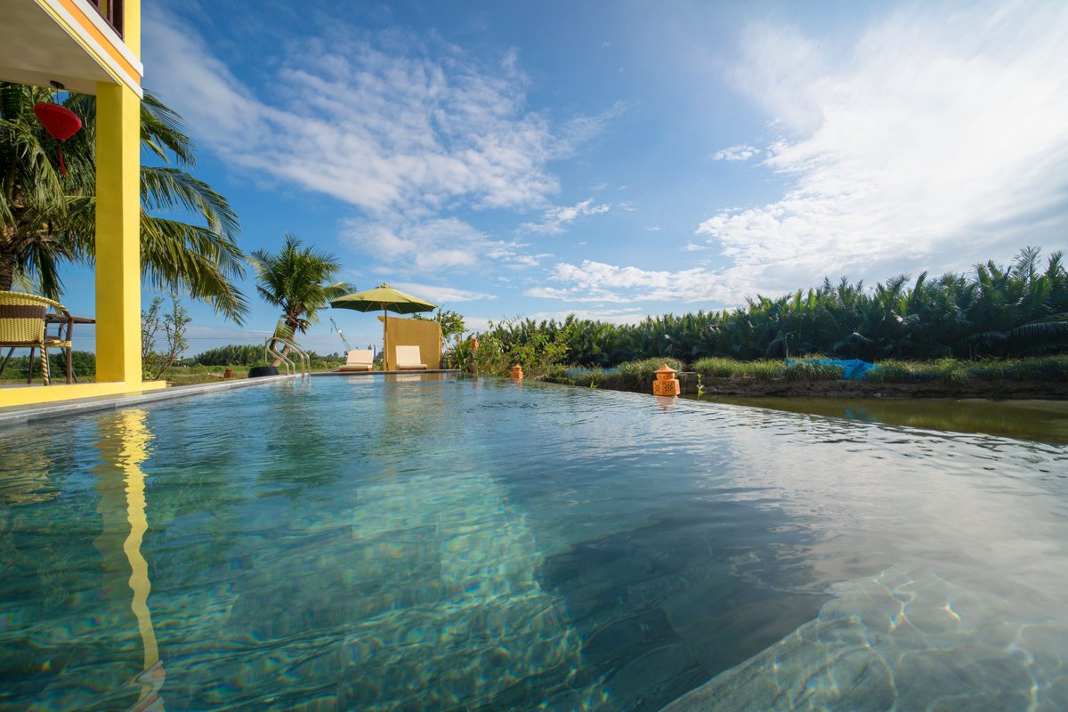 lakeviewhoian's tweet photo. Swimming with natural scenery only at Lakeview Villa Hoi An, Viet Nam, email: lakeviewhoian@gmail.com, web: https://t.co/q5aORjvANc https://t.co/R5yzs7PRz8