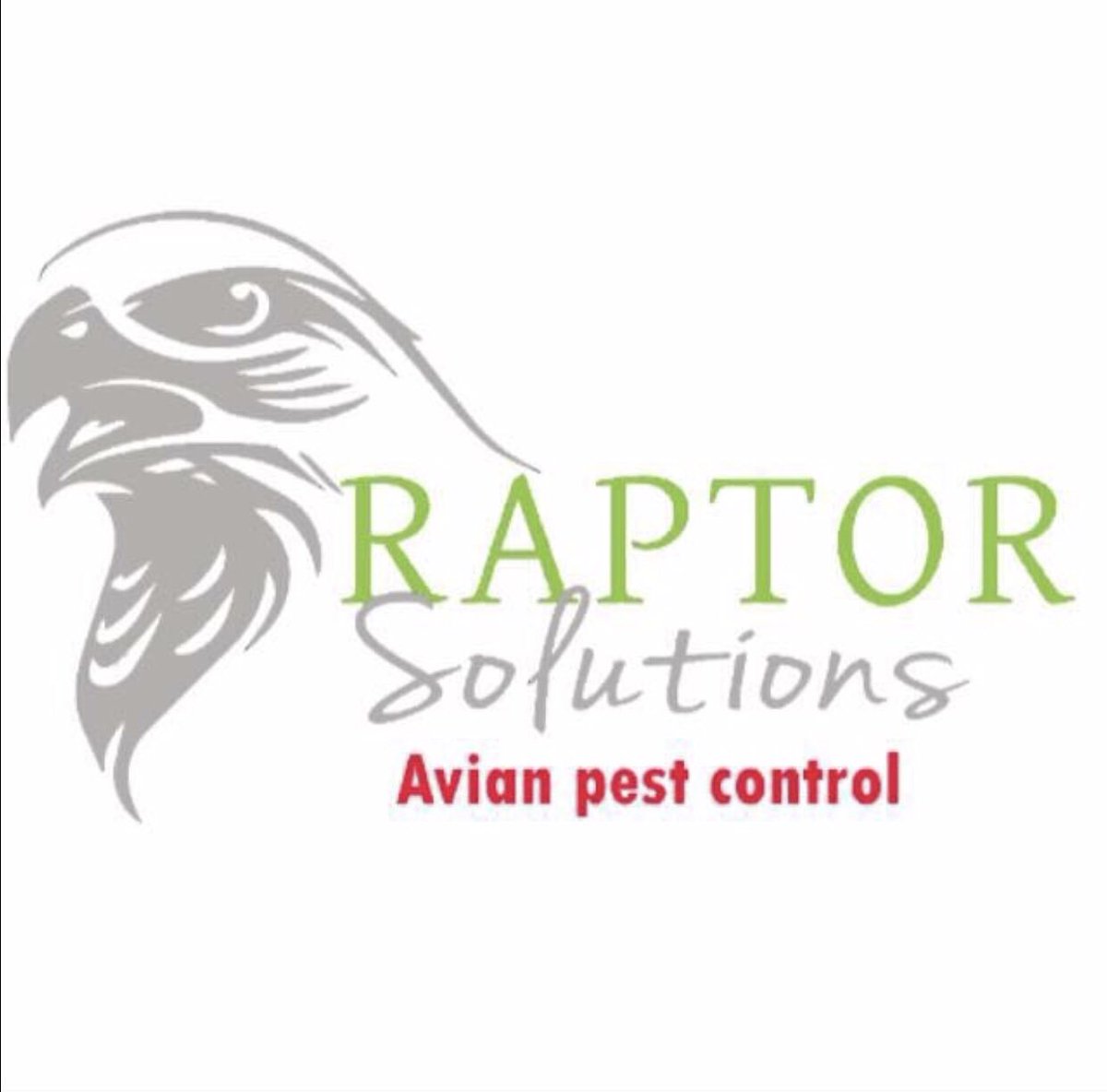 RaptorSolution2's tweet photo. Raptor Solutions Environmental Services based in Suffolk covering east anglia in the control &amp; removal of seagulls, rooks &amp; pigeons using trained birds of prey also nest removal  services #PestControl#bird-control   @RaptorSolution2 https://t.co/XrxmP4rWAC
