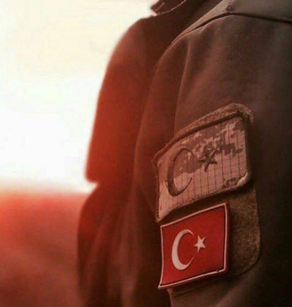 Bayraksızlar bayraksızlar 
Yere düşse bayrak sızlar 
Nerden bilsin kıymetini 
Soysuz sopsuz bayraksızlar!

• Şehadet şerbeti içen kahraman şehitlerimize rahmetle...