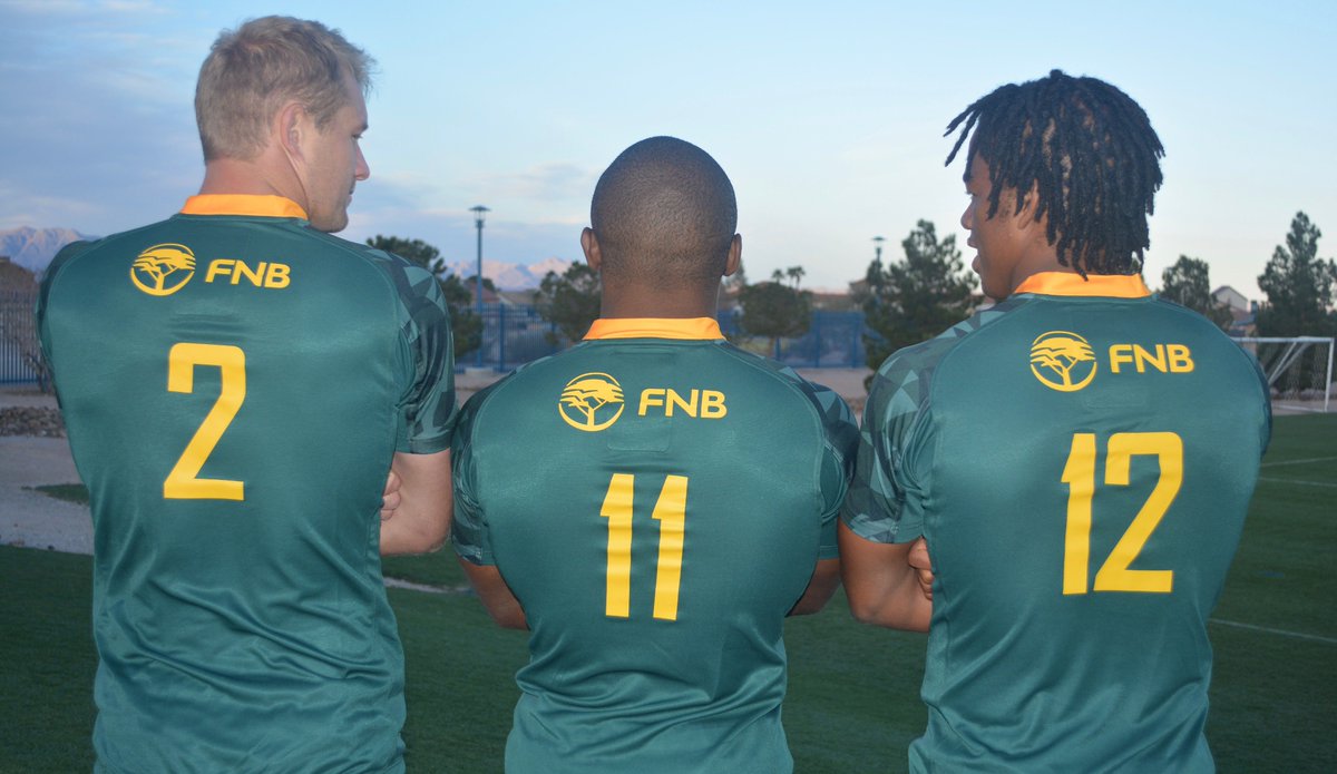 springbok jersey uk