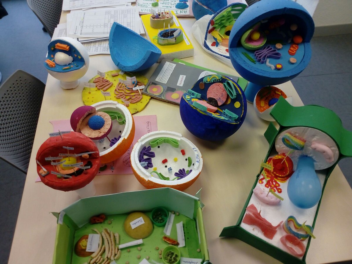 aitor_ibabe's tweet photo. Celulas de animales y de humanos, y bacterias. Tengo un compañero de trabajo @ramon_sjb que un artista, buen profesional y que nos tiene que enseñar a los de plastica. Sigue asi Ramontxu @EGIBIDE @proiek2d https://t.co/IWliDboE2q