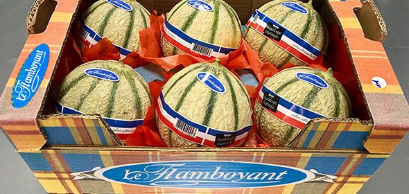 GreenFlex's tweet image. Nouveau en rayon : le melon bleu blanc rouge #MarketingResponsable #Risquesproduits #Qualitéproduits #Filièresalimentairesdurables bit.ly/2F1tD1a