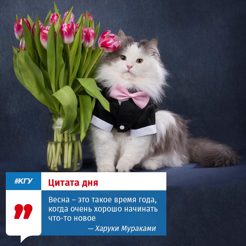 наконец то весна картинки зависимости предпочтений они