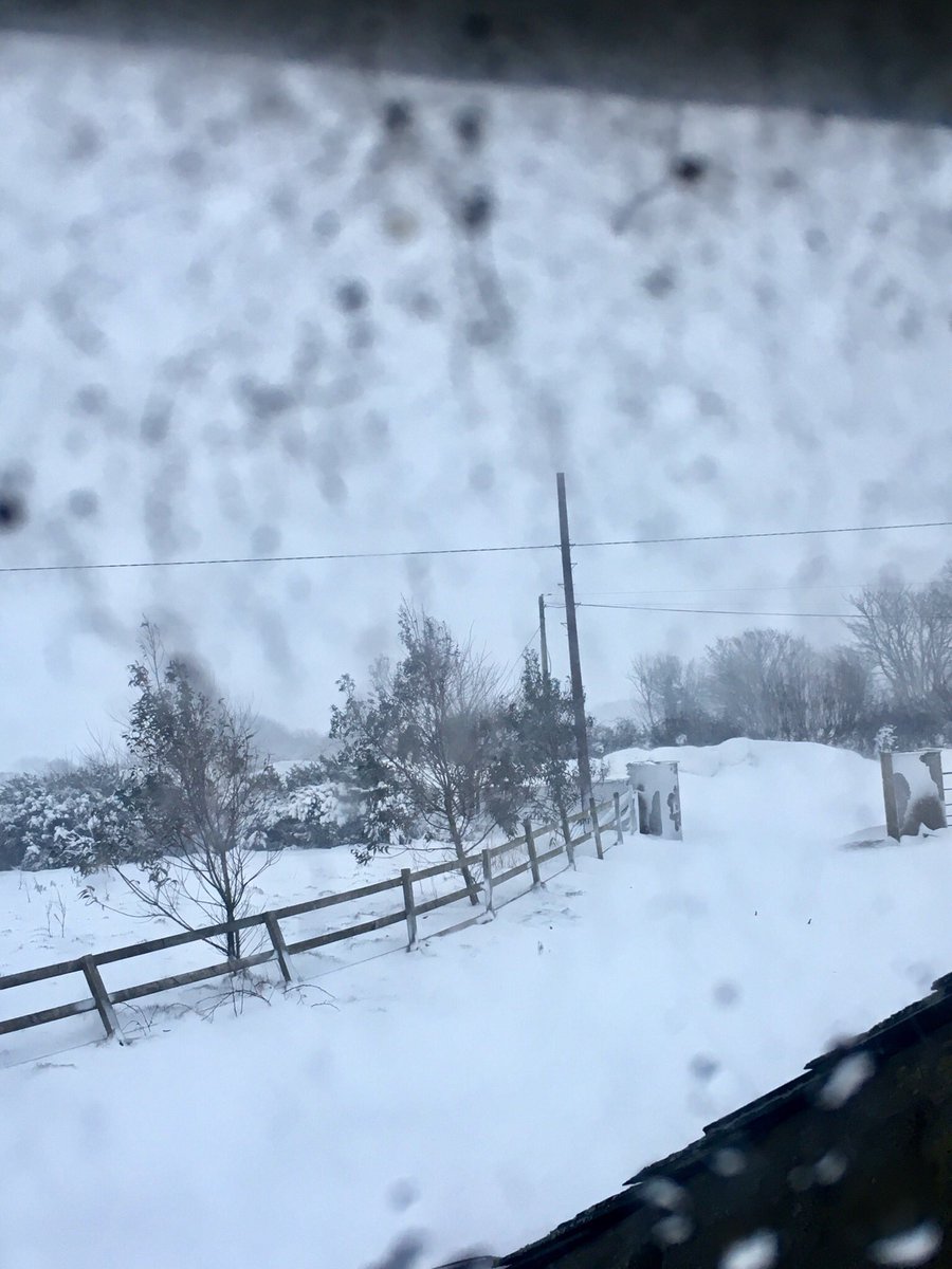 OakmanLtd's tweet photo. Our road between Wellingtonbridge and Duncormick. Use alternative route👍 https://t.co/HSCVemGb8Q