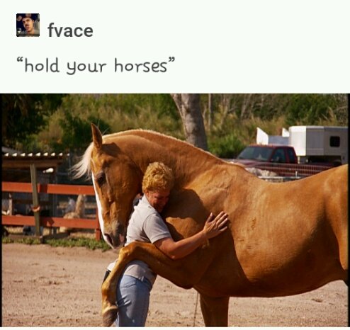 "If I had any horses to hold, I would be holding them already."