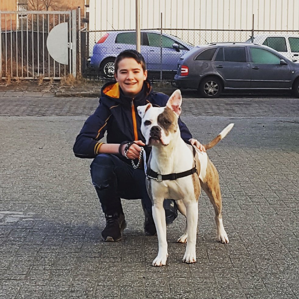 AsielZwolle's tweet photo. Koud he! #berekoud!
En toch wandelen onze helden met onze asielhonden. En nemen rustig alle tijd voor ze en om te poseren. #trots op onze #vrijwilligers en #stagiaires 👍 https://t.co/n5yeEwR8dU