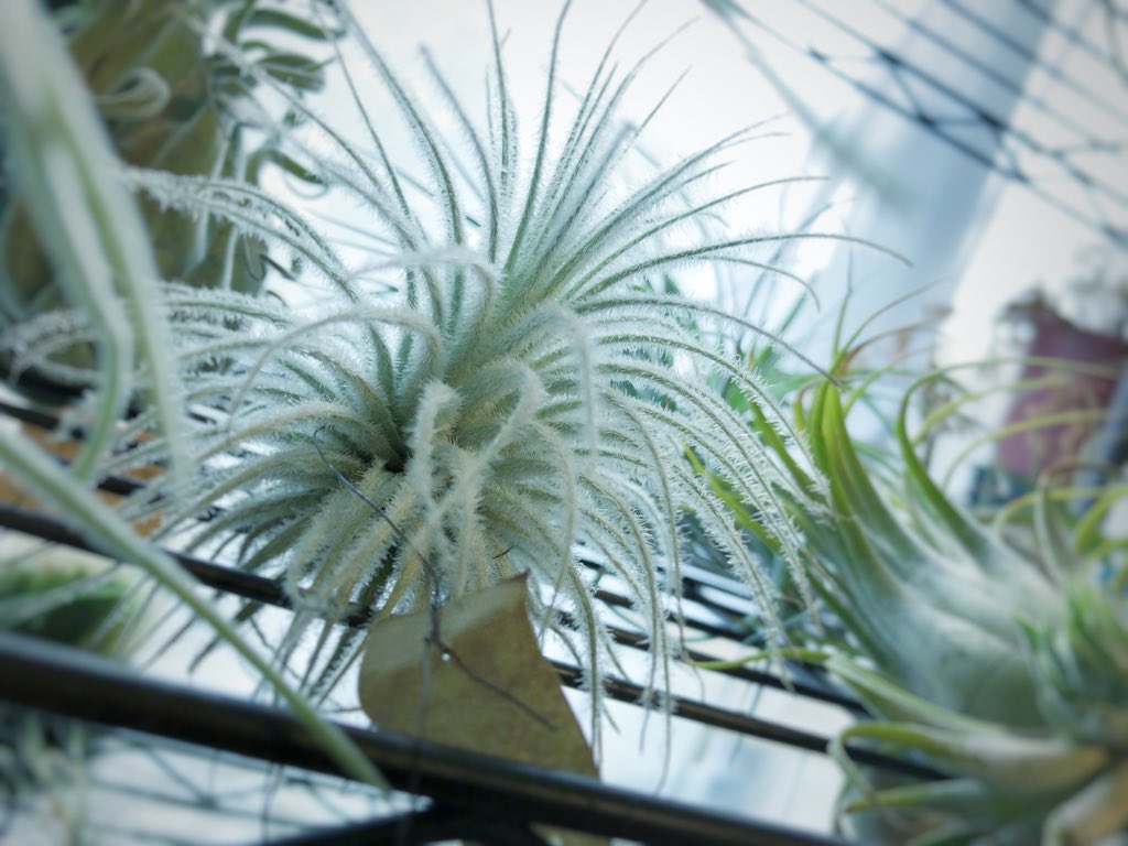 ﾃｸﾄﾗﾑ Twitter પર હ શટ ગ