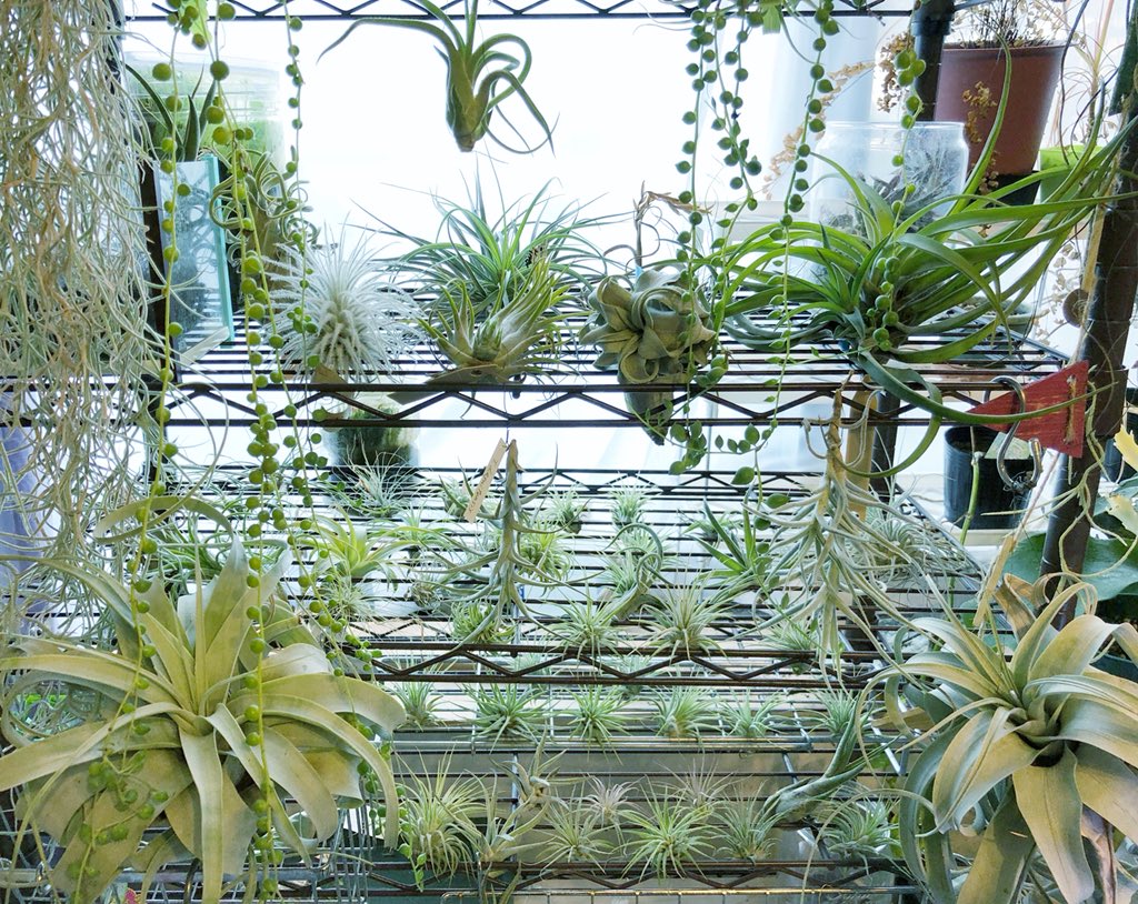 ﾃｸﾄﾗﾑ Twitter પર હ શટ ગ