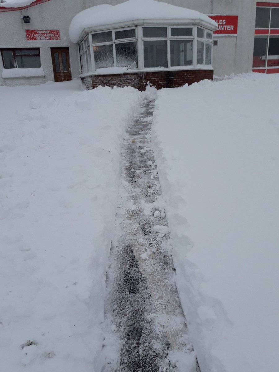 BuildbaseA's tweet image. Dug my own wee path to the branch #falkirk #makingbuildbasebrilliant