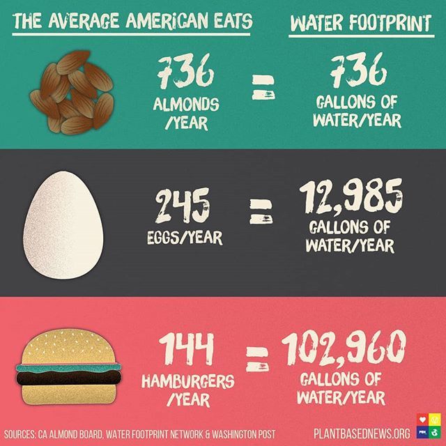 PlantBasedNews's tweet photo. Do you consider your "water footprint" when buying food? https://t.co/EDMKLpqTKq https://t.co/cMSzVurtq2