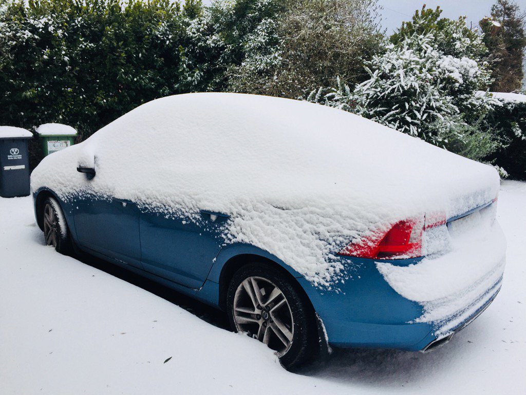 patriciascanl18's tweet image. #GoingNowhereFast 🙀