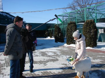 Посмотреть изображение в Твиттере