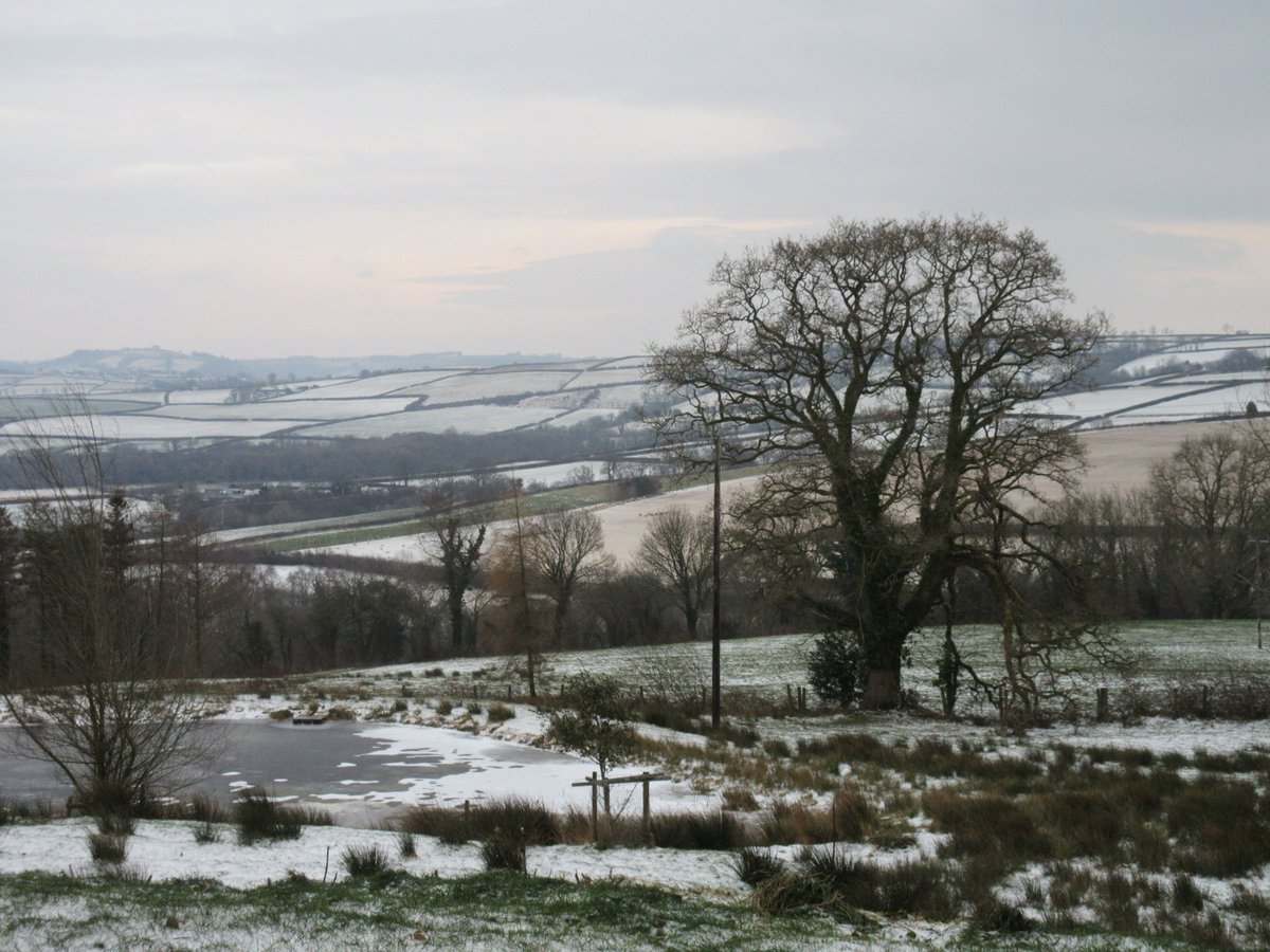 PenyralltFach's tweet photo. A bitter, biting wind, debris from trees everywhere, ice & snow, leaden skies, horrible for my menfolk out thawing cattle troughs, getting water running and carrying-on farming #StormEmma, #snowstorm #Marchinlikealion https://t.co/8W77sVXX79