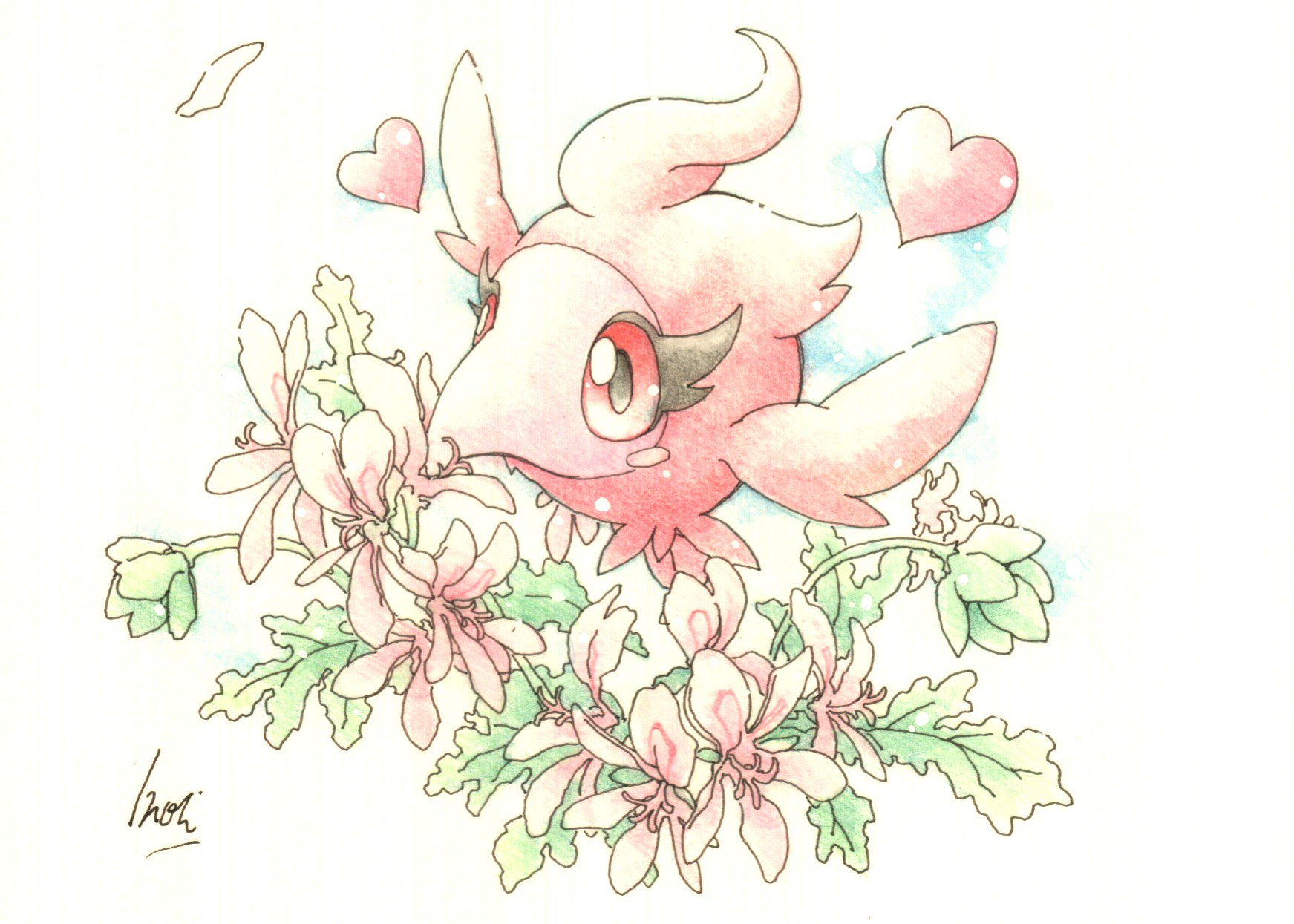 Inori 今日のポケモン図鑑 ｎｏ ６５８ シュシュプの ドレインキッス ローズゼラニウムの花言葉 恋煩い T Co C2iuszhxiy Twitter