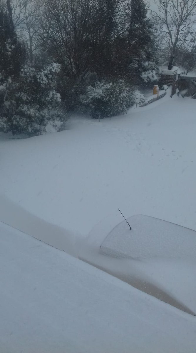 OakmanLtd's tweet photo. The car is there somewhere #wexford #sneachta https://t.co/XIokv2lBLx
