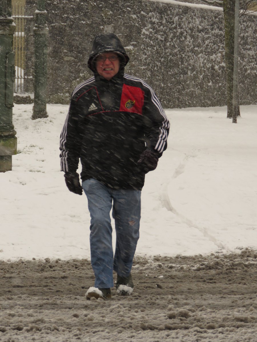 Discover Limerick tweet media