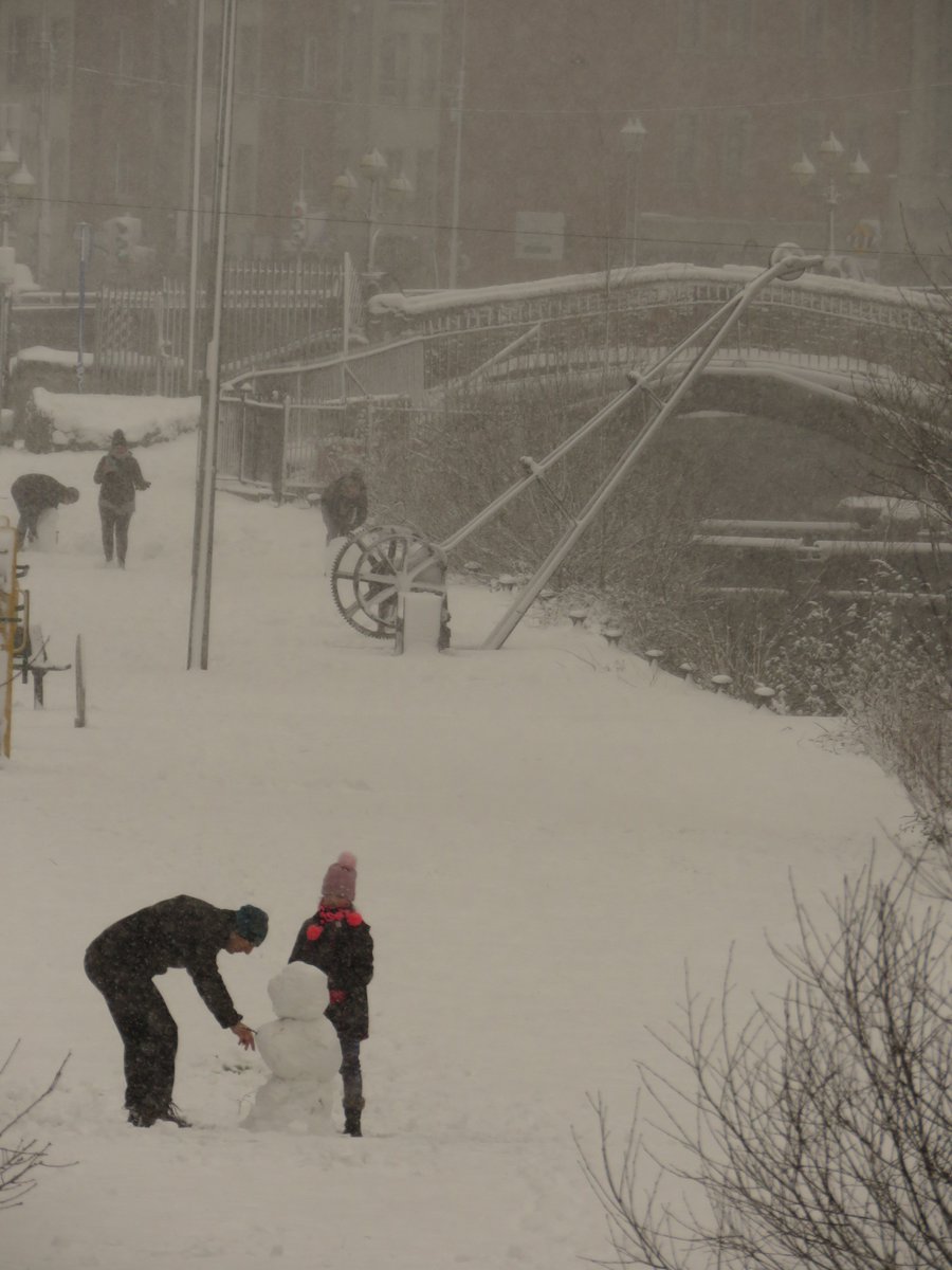 Discover Limerick tweet media