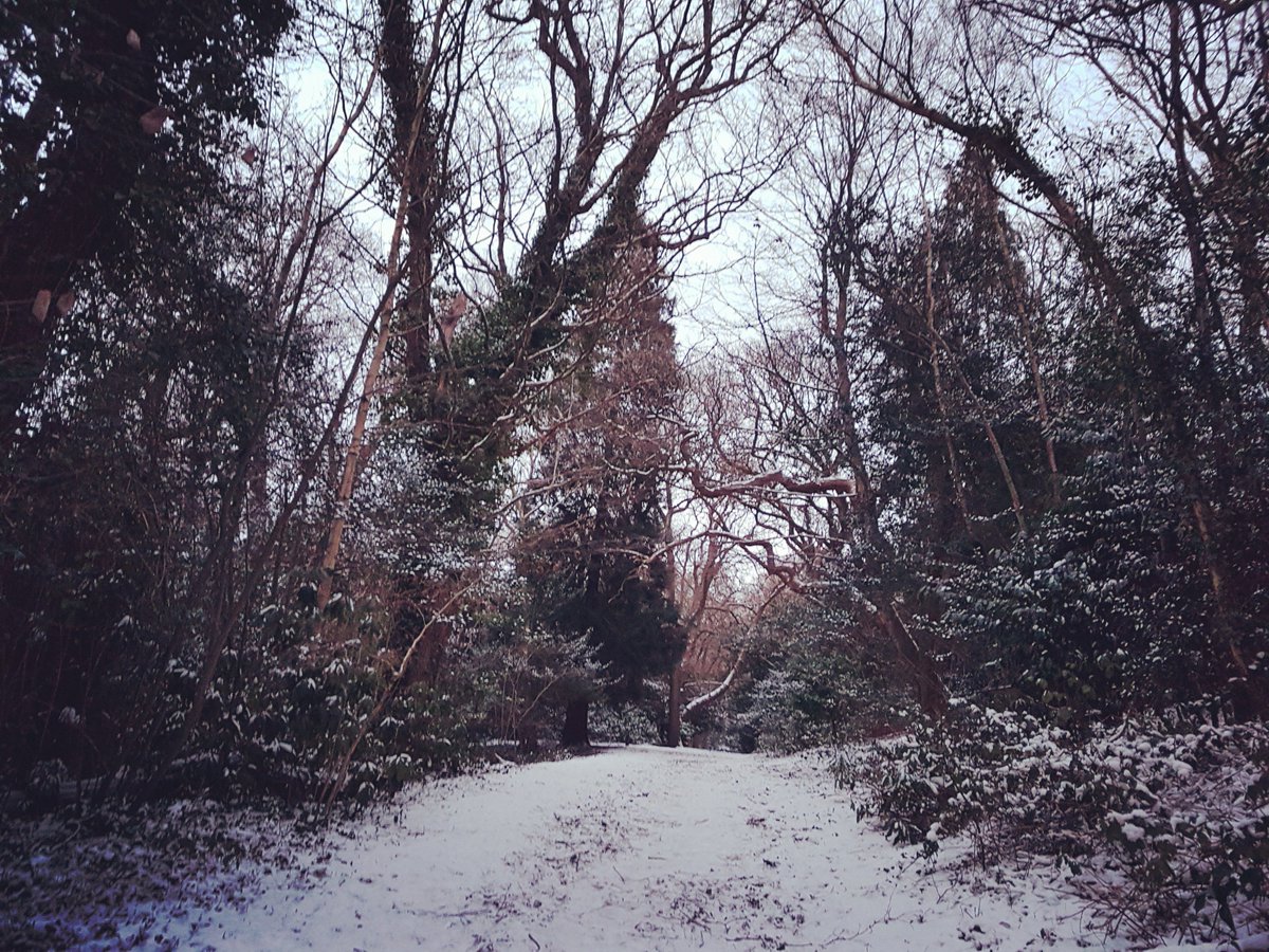 The weather may have disrupted a number of our on-going projects, but it can still have its moments. #stormemma #BeastFromTheEast #Hastings
