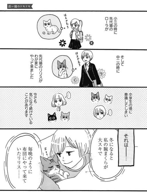 猫劇場 を含むマンガ一覧 古い順 ツイコミ 仮 猫劇場 を含むマンガ一覧 古い順 ツイコミ 仮