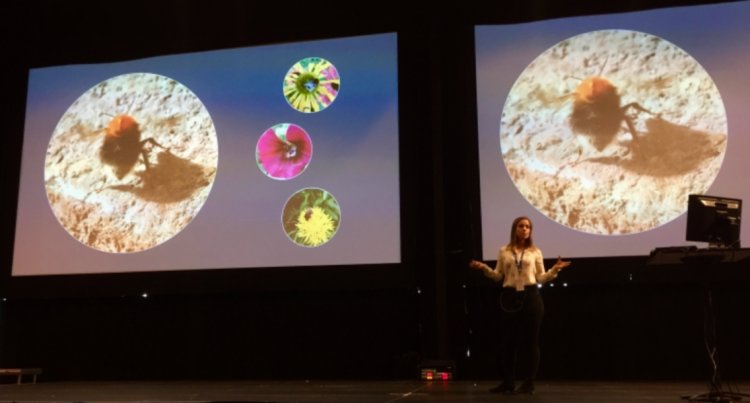 unioslo_titan's tweet photo. Er to ord nok for å beskrive et helt forskningsprosjekt? @Julie_Paus undersøker hvordan #humler påvirkes av temperatur og plantevernmidler, nå puster hun liv i Bio-bloggen vår: https://t.co/SeUfodjfgQ @SABIMAnorge @CEESUiO @NorskBiolog @ndla_biologi @NIBIO_no https://t.co/nnR8wJ5ufm