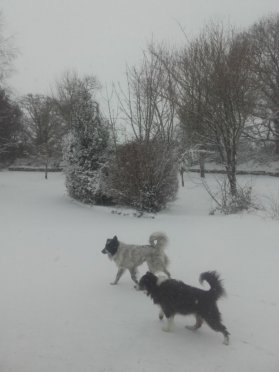 nobbynoreen's tweet photo. Getting a bit of fresh air!! #inagain front of fire 😊 https://t.co/3lWYniaHup