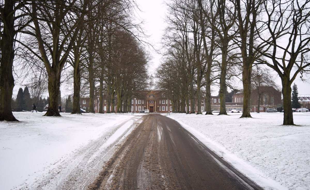 RMS Photography tweet media