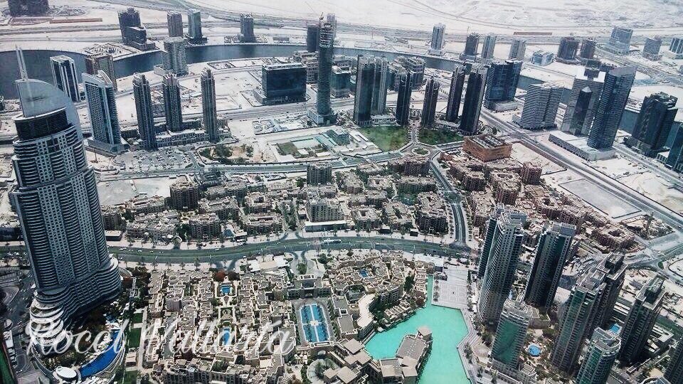 rocelvallarta_'s tweet photo. You will always be my favorite comfort zone. 🇦🇪❤️💚🖤 https://t.co/A2UNfIIeR1
