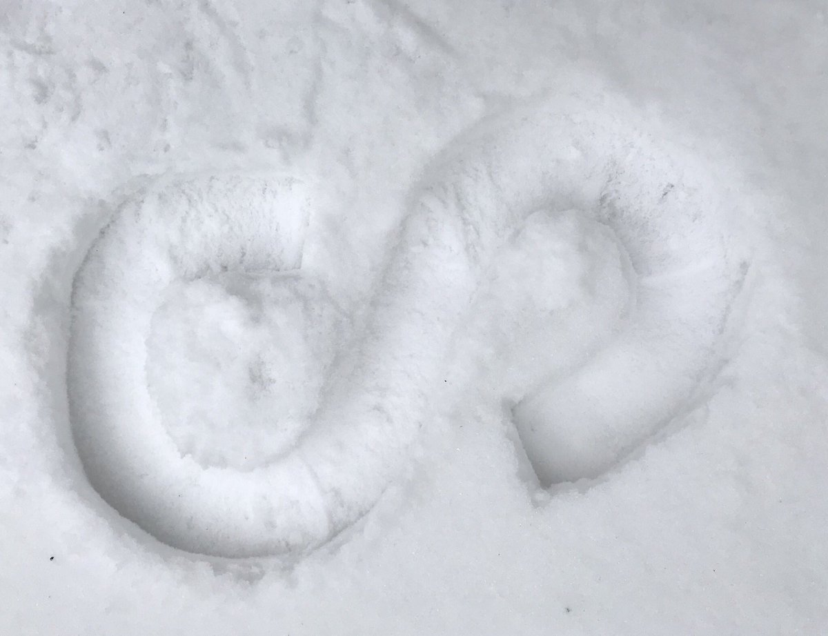 creative_loop's tweet photo. Loopers in the snow! We are working remotely from home today. Please get in touch via email or phone #IntheLoop #BeastfromtheEast #staywarm https://t.co/w2cvsgWr5s